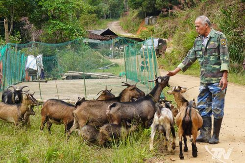 Chính sách giảm nghèo tạo sinh kế bền vững cho người dân