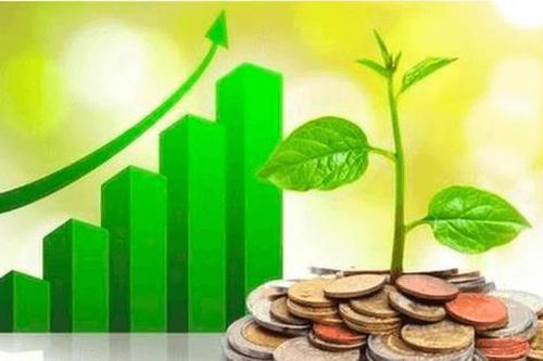 Loạt doanh nghiệp HHV, VDN, CTR chốt quyền trả cổ tức tuần tới, tỷ lệ cao nhất 40%