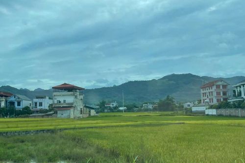 Thời tiết các khu vực trong tỉnh ngày 6/7, đêm và sáng có mưa rào, có nơi mưa vừa, mưa to và dông