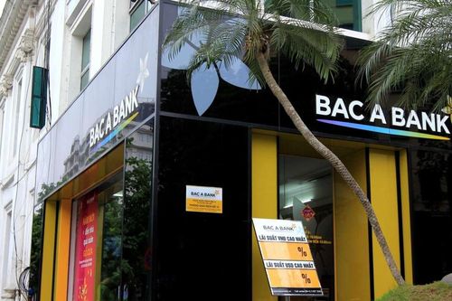 Bac A Bank phát hành hơn 80 triệu cổ phiếu trả cổ tức, tăng vốn lên 11.525 tỷ đồng
