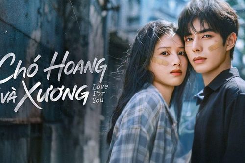 Tống Uy Long, Trương Tịnh Nghi gây xót xa trong Chó Hoang Và Xương