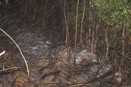 Gia Lai: Yêu cầu chấm dứt tình trạng đốt thực bì không đảm bảo an toàn