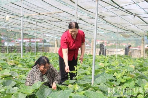 Canh tác xanh, nông sản sạch