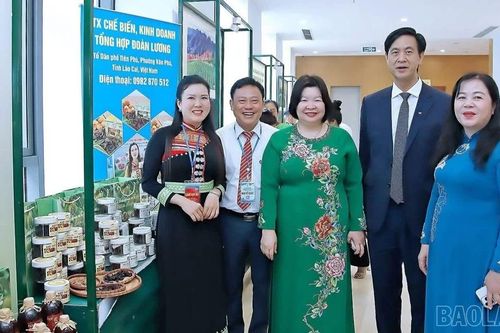 Khơi mạch nguồn vốn, đánh thức tiềm năng OCOP