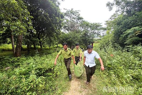 Thả về môi trường tự nhiên 64 cá thể động vật hoang dã