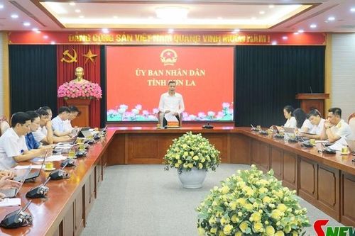 Đôn đốc đẩy nhanh tiến độ xây dựng cơ sở dữ liệu đất đai trên địa bàn tỉnh