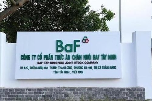 BaF Việt Nam (BAF) dự thu hơn 608 tỷ đồng qua đợt chào bán hơn 40,5 triệu cổ phiếu