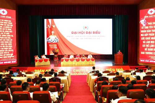 Đại hội đại biểu Hội Chữ thập đỏ tỉnh lần thứ VIII, nhiệm kỳ 2026 - 2031 hoàn thành phiên thứ nhất