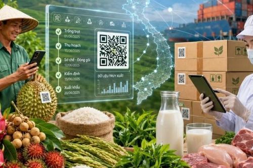 Truy xuất nguồn gốc nông sản: 'Tấm hộ chiếu số' đưa nông sản Việt vươn ra thị trường toàn cầu