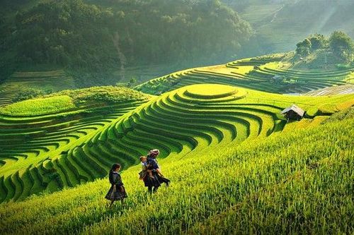 Xanh hóa các vùng du lịch trọng điểm, nâng tầm thương hiệu du lịch Việt