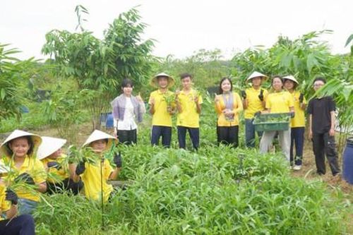Ra mắt mô hình 'Green Hero Garden - Vườn xanh cộng đồng'