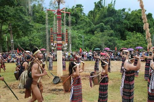 Những 'cây đại thụ' giữ hồn cốt Cơ tu