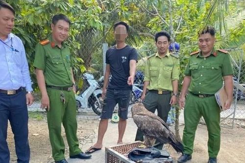 Vĩnh Long xử phạt trường hợp nuôi nhốt trái phép động vật rừng