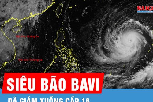 Siêu bão Bavi đã giảm 1 cấp từ sáng 7-7