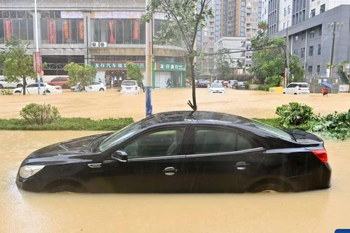 Trung Quốc: Bão Maysak tiếp tục gây mưa diện rộng