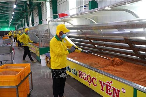 Lấy doanh nghiệp làm trung tâm trong chính sách hỗ trợ