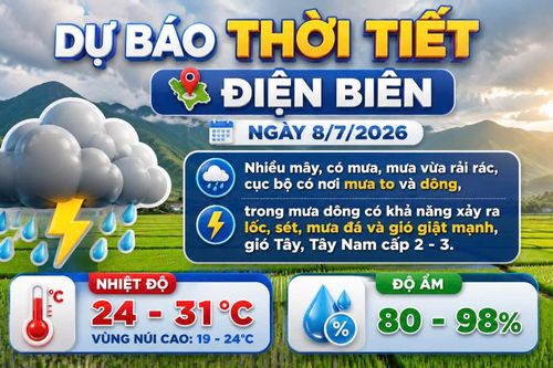 Bản tin Dự báo thời tiết ngày 8/7/2026