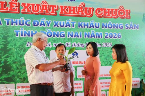 Giống chất lượng cao cho nông sản xuất khẩu