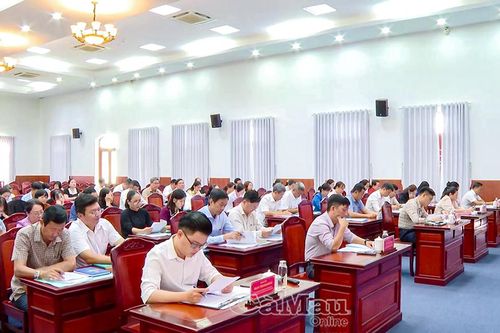 Phường Bạc Liêu: 6 tháng đầu năm thu ngân sách đạt hơn 266% kế hoạch