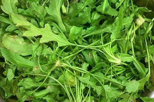 Nhìn như cỏ dại mọc đầy bờ ruộng nhưng lại là 'kho dinh dưỡng', nhiều người ăn một lần rồi nhớ mãi vì làm sủi cảo quá thơm