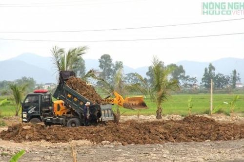 Cần xử lý triệt để việc san lấp đất nông nghiệp trái phép ở xã Quảng Châu, Nghệ An
