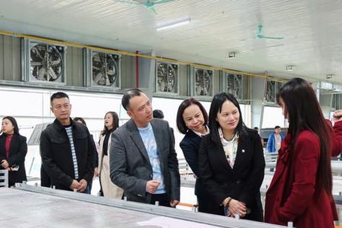 Dòng vốn AGREENFI tại Thagaco Smart Green: 'Đòn bẩy' xanh cho dệt may xuất khẩu