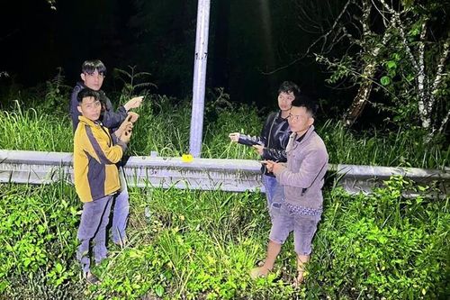 Cắt dây điện bán phế liệu
