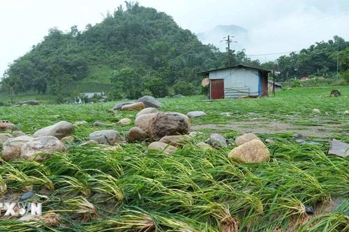 Lai Châu khẩn trương khắc phục thiệt hại do mưa lũ