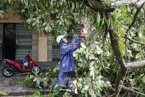 Quảng Ninh khẩn trương khôi phục sản xuất, giảm thiệt hại sau bão số 1