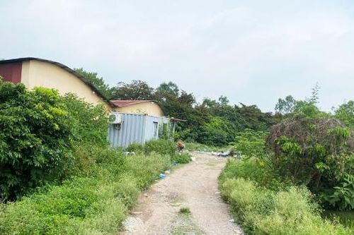 Bắc Ninh: Bắt hai người nước ngoài thuê đất nuôi nhốt động vật nguy cấp