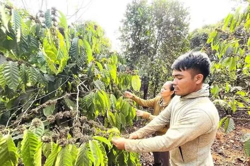 Đổi nếp nghĩ, cách làm để thoát nghèo bền vững