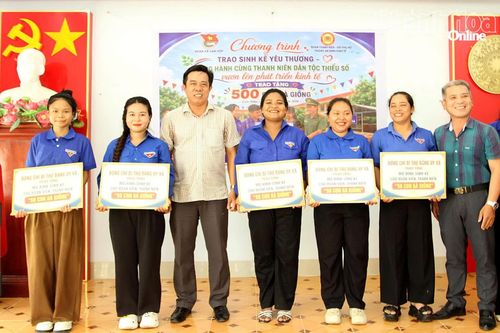 Trao gà giống hỗ trợ thanh niên đồng bào dân tộc thiểu số phát triển sinh kế