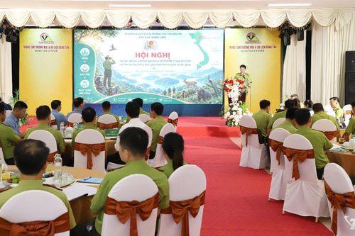 Tập huấn quy định mới về xử phạt vi phạm hành chính lĩnh vực lâm nghiệp