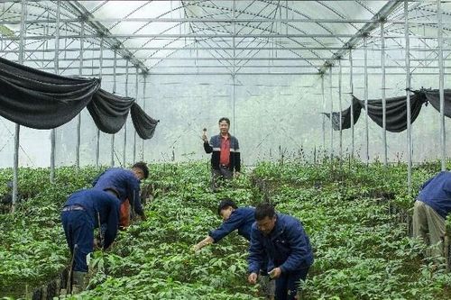 Doanh nghiệp chờ 'cởi trói' để thúc đẩy sản xuất
