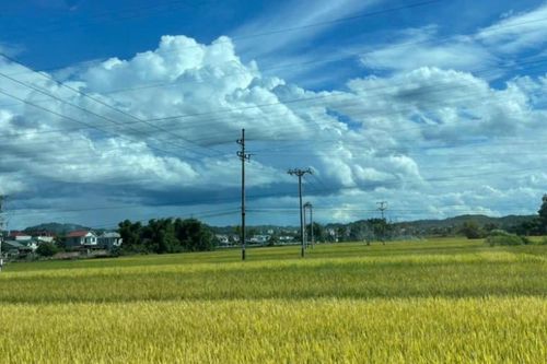 Thời tiết các khu vực trong tỉnh ngày 9/7, có mưa rào và dông vài nơi, ngày trời nắng gián đoạn