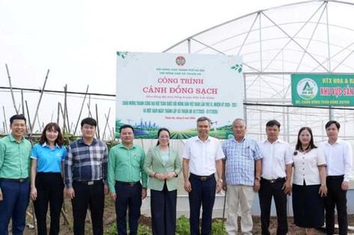 Nông dân xã Thuận An gắn sản xuất với bảo vệ môi trường