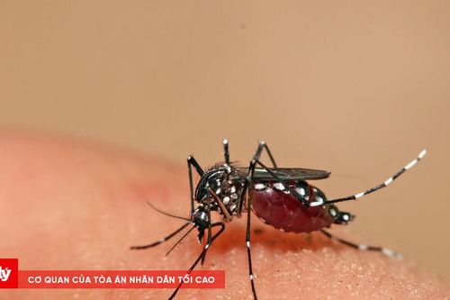 Người đàn ông 27 tuổi tử vong do sốt xuất huyết
