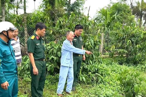 Từ tin báo của người dân, tìm được nhiều di vật của liệt sĩ