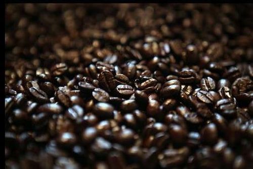 Ngành cà phê Mỹ kêu gọi chính quyền duy trì miễn thuế cho mặt hàng từ Brazil