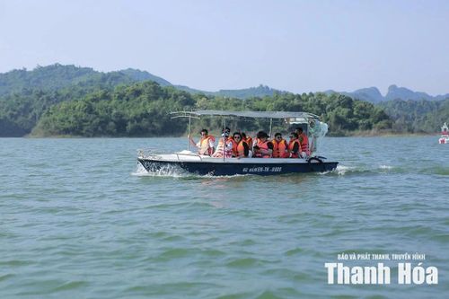 Chung tay bảo vệ động vật hoang dã, bảo tồn đa dạng sinh học