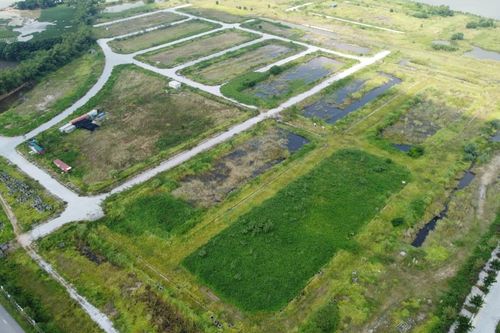 Hà Nội làm sạch 863.383 thửa đất, tăng hơn 73.500 thửa sau gần hai tuần