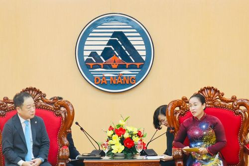Thúc đẩy quan hệ hữu nghị, hợp tác giữa Đà Nẵng với Kinokawa (Nhật Bản)