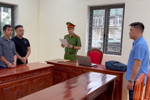 Lào Cai khởi tố, bắt tạm giam đối tượng hủy hoại rừng tại xã Mù Cang Chải