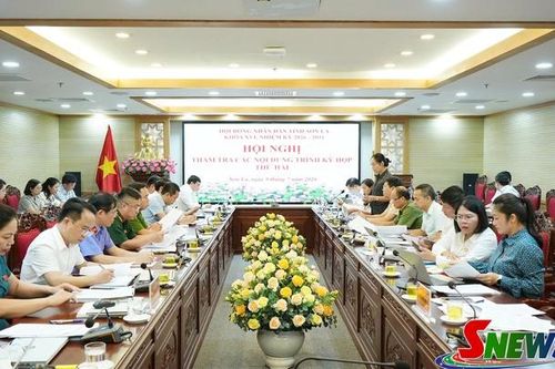 Thẩm tra dự thảo nghị quyết quy định mức phụ cấp đối với người hoạt động ở bản, tổ dân phố
