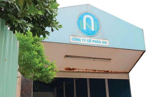 ANI vừa trở lại UPCoM đã tăng trần 5 phiên, nợ vay gấp 3,6 lần vốn chủ sở hữu