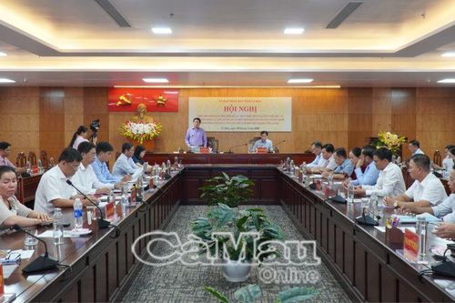 Đẩy nhanh thực hiện Đề án 1 triệu héc-ta lúa chất lượng cao, phát thải thấp
