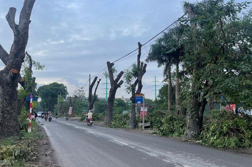 Dự án đường 70 qua Xuân Phương, Hà Nội: Hàng loạt cây xanh, nhà xưởng được dỡ bỏ