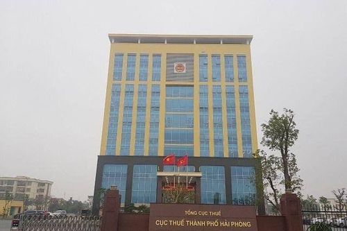 Hải Phòng: Tạm hoãn xuất cảnh 228 trường hợp nợ thuế trên 120 ngày