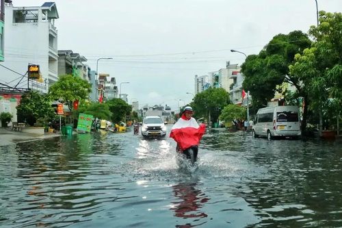 Tăng cường công tác phòng, chống thiên tai trên địa bàn TPHCM