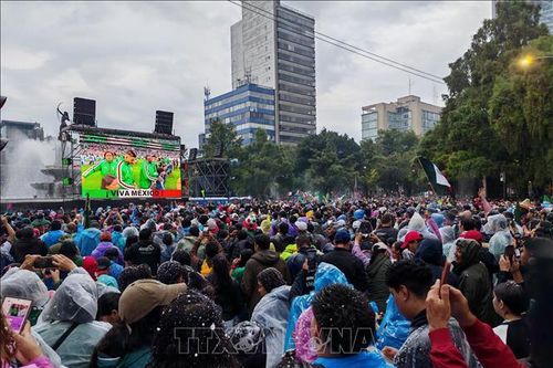 Các đội chủ nhà bị loại khiến giá vé World Cup giảm mạnh